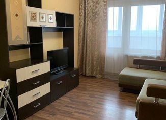 Сдается квартира студия, 26 м2, посёлок Садаковский, Московская улица, 53А