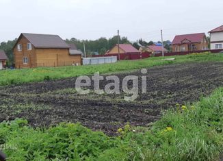 Дорога в снт солнечный в ишимском районе