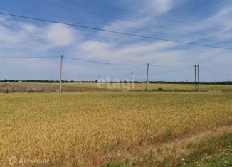 Продаю земельный участок, 5 сот., СНТ Белгорос, Новгородская улица