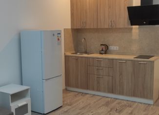 Сдается в аренду квартира студия, 21 м2, Санкт-Петербург, улица Фёдора Котанова, 5к2, ЖК Звёзды Столиц