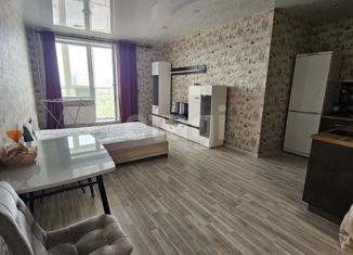 Сдается квартира студия, 41 м2, Пермь, Пушкарская улица, 142