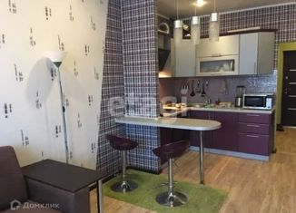 Продам квартиру студию, 28.2 м2, село Осиновая Гора, 3-й Восточный проезд, 5