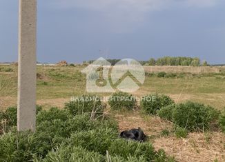 Продам земельный участок, 8 сот., село Сенчанка