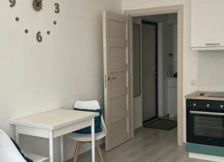 Продается 1-комнатная квартира, 26.6 м2, Санкт-Петербург, метро Старая Деревня, Торфяная дорога, 13