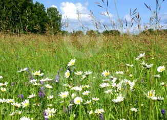 Продам участок, 36.03 сот., деревня Жуковка