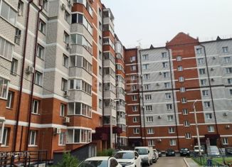 Продажа однокомнатной квартиры, 46.5 м2, село Чигири, 1-я Тепличная улица, 26/1