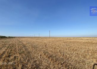 Продаю земельный участок, 340 сот., село Окунёвка, улица Крупской