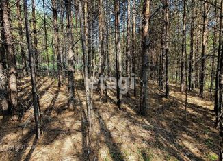 Продаю земельный участок, 11.39 сот., городской округ Дивногорск