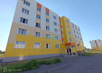 Продается 1-комнатная квартира, 36 м2, Пензенская область, улица Новосёлов, 106