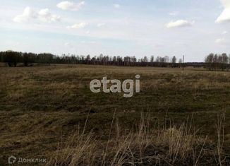 Продается земельный участок, 50 сот., деревня Малые Велижаны, Центральная улица