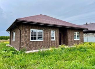 Продаю дом, 119 м2, Низинское сельское поселение, улица Пушкина, 184