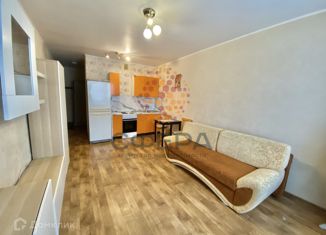 Сдаю квартиру студию, 27 м2, Новосибирск, Березовая улица, 19, Березовая улица