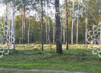 Продаю участок, 15 сот., деревня Селищи