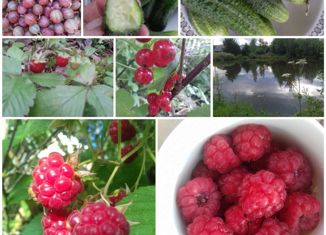 Участок на продажу, 7 сот., СНТ Солнечное, СНТ Солнечное, 102