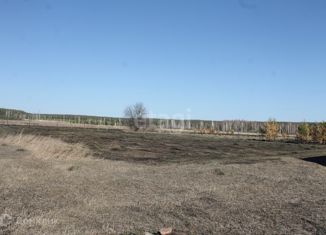 Продается участок, 23.96 сот., деревня Ключи