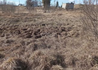 Продам участок, 25 сот., деревня Кусино