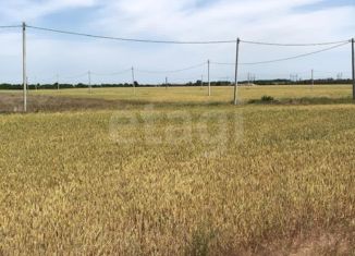 Продаю земельный участок, 5 сот., хутор Новоалександровка, Луговой переулок