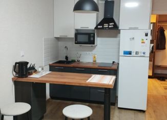 Сдам в аренду квартиру студию, 29 м2, Мурино, Петровский бульвар, 2к1, ЖК Три кита