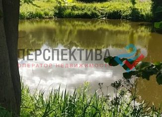 Участок на продажу, 15000 сот., село Борщевка