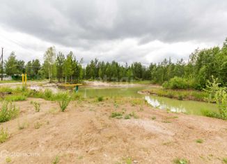 Земельный участок на продажу, 6 сот., СПК Победит-1