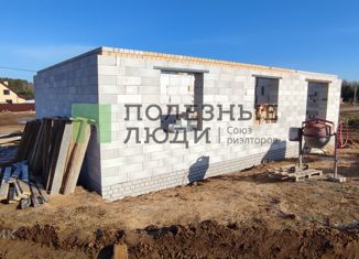 Продается дом, 86 м2, деревня Большие Раскопины, Дружная улица