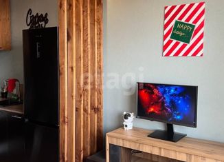 Продажа квартиры студии, 28 м2, Черногорск, Юбилейная улица, 34к2