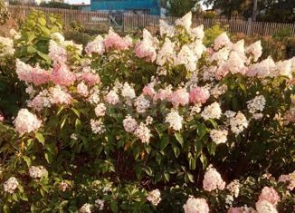 Продается дом, 164.3 м2, село Сары-Чумыш, Партизанская улица