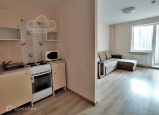 Продам квартиру студию, 29.1 м2, Санкт-Петербург, улица Михаила Дудина, 12, улица Михаила Дудина