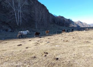 Продаю земельный участок, 8 сот., село Аюла, Центральная улица, 35