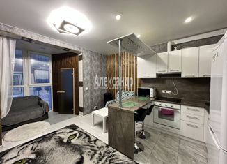 Продажа квартиры студии, 25.56 м2, Мурино, Ручьёвский проспект, 3к1, ЖК Мурино Парк