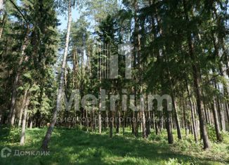 Земельный участок на продажу, 20 сот., деревня Чесноково, улица Радуга, 71