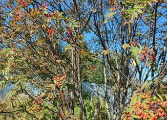 Продажа участка, 37 сот., село Волково, Школьный переулок