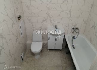 Продается квартира студия, 25.2 м2, Новосибирск, Рябиновая улица, 14/1, Рябиновая улица