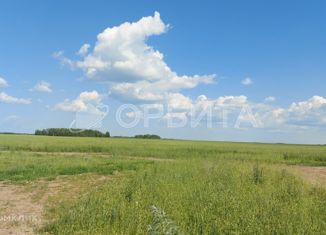 Продаю земельный участок, 8 сот., село Каменка