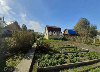 Продается дом, 23 м2, рабочий посёлок Краснообск, рабочий посёлок Краснообск, 80