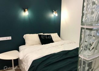 Квартира в аренду студия, 42 м2, Новосибирск, улица Николаева, 18, Советский район