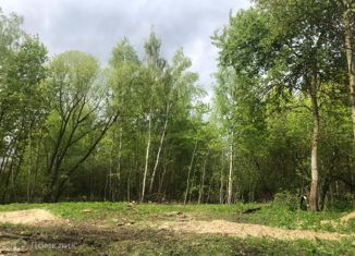 Продается участок, 16 сот., деревня Бояркино, Центральная улица