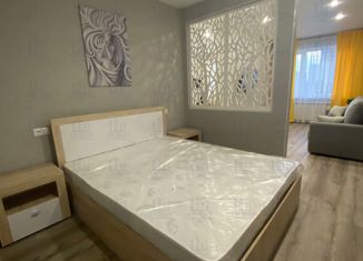 Сдам однокомнатную квартиру, 50 м2, Казань, Чистопольская улица, 61Д, ЖК Миллениум Сити