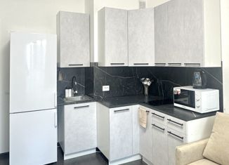 Квартира в аренду студия, 27 м2, Санкт-Петербург, Арцеуловская аллея, 15, муниципальный округ Коломяги