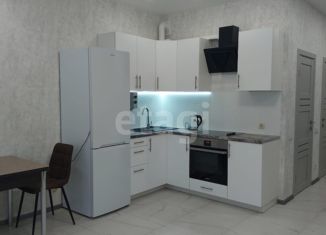 Аренда квартиры студии, 38 м2, Ростов-на-Дону, Доломановский переулок, 17