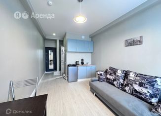 Сдача в аренду квартиры студии, 19 м2, Москва, аллея Первой Маёвки, 15с2