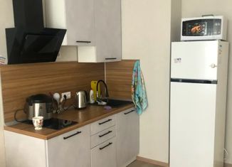 Продается квартира студия, 29 м2, Краснодар, Брянская улица, 8, Брянская улица