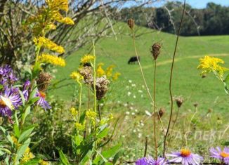 Продается участок, 600 сот., городской округ Луховицы