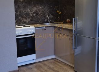 Продажа квартиры студии, 30 м2, Новосибирск, улица Мясниковой, 6/3, улица Мясниковой