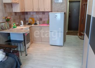 Продается квартира студия, 23.8 м2, Новосибирская область, улица Надежды, 4