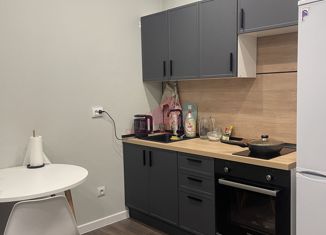 Продаю 1-ком. квартиру, 27 м2, Ростов-на-Дону, переулок Чаленко, 9/1, ЖК Западная Резиденция