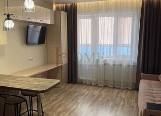 Сдам в аренду квартиру студию, 30 м2, Новосибирск, улица Крылова, 34, улица Крылова
