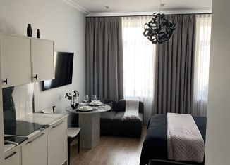 Продажа квартиры студии, 19.1 м2, Москва, 2-я Тверская-Ямская улица, 18, 2-я Тверская-Ямская улица