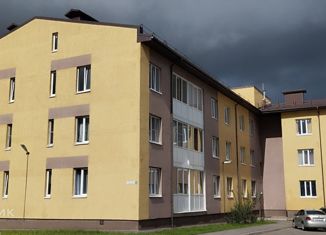 Квартира в аренду студия, 22 м2, поселок Романовка, шоссе Дорога Жизни, 33