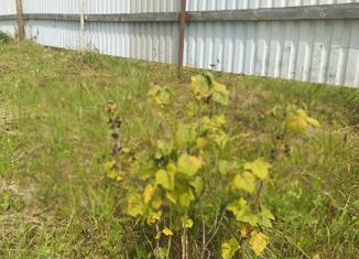 Участок на продажу, 25 сот., деревня Серединское